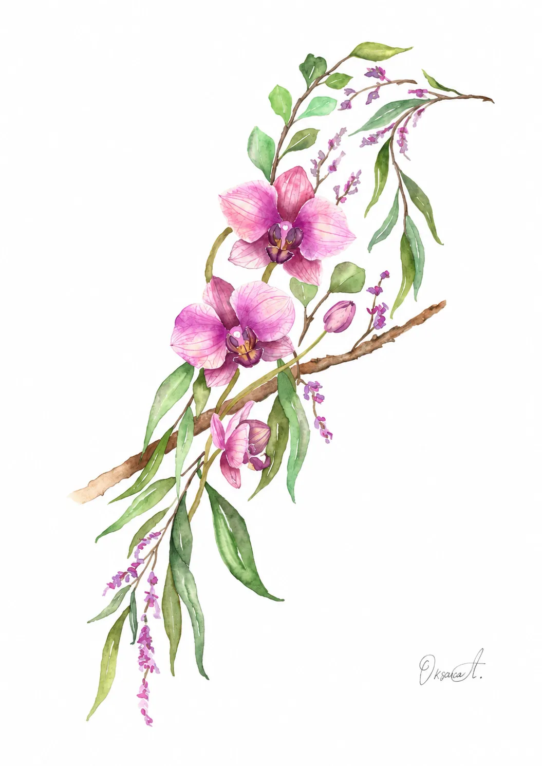 Botanical watercolour painting of a bird silhouette formed from pink orchids, green leaves, lavender sprigs and branches on a white background.