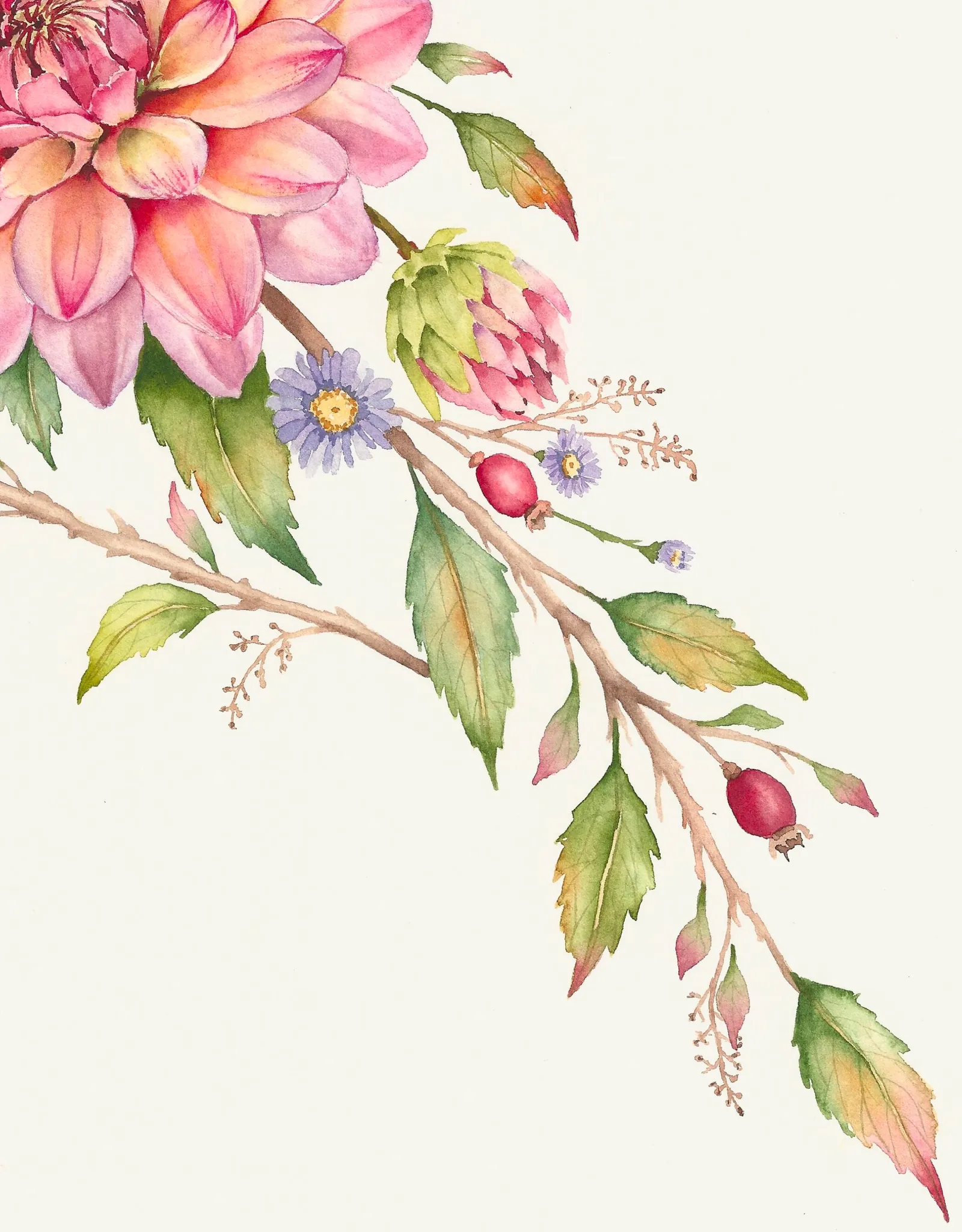 Dahlia Plumage, view 3