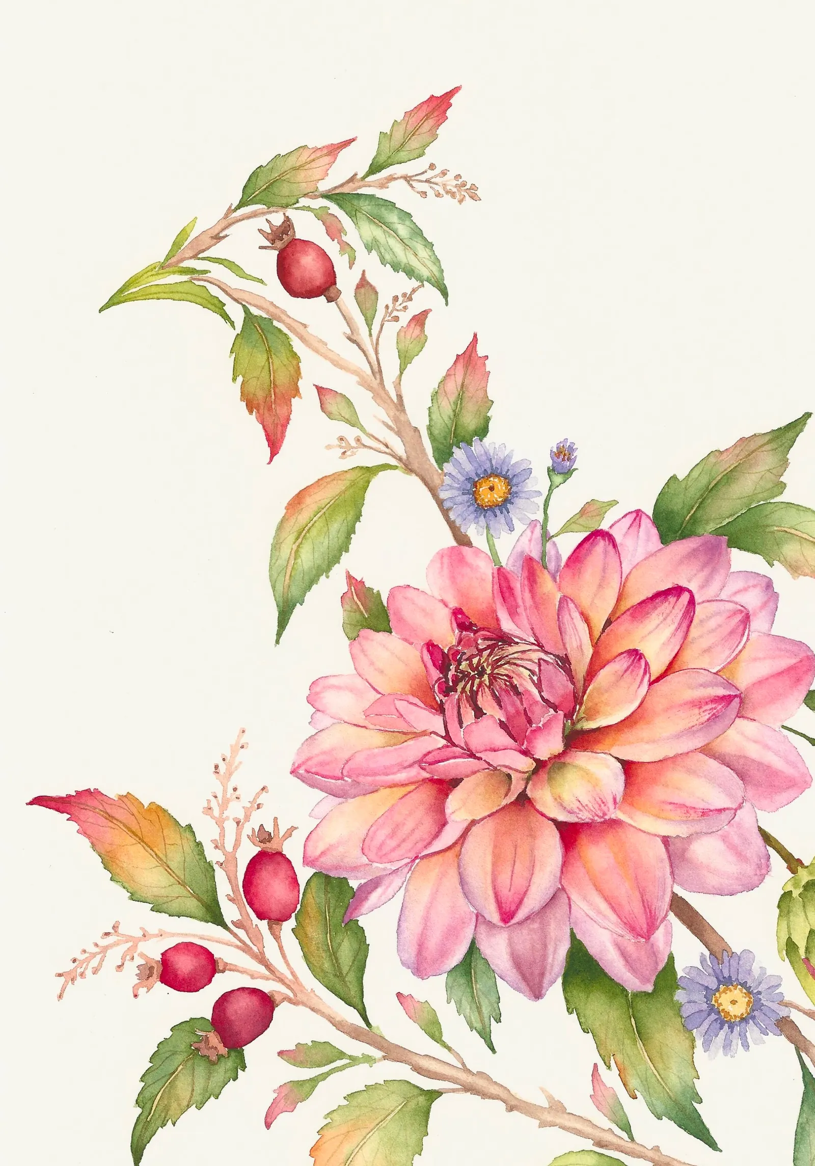Dahlia Plumage, view 2