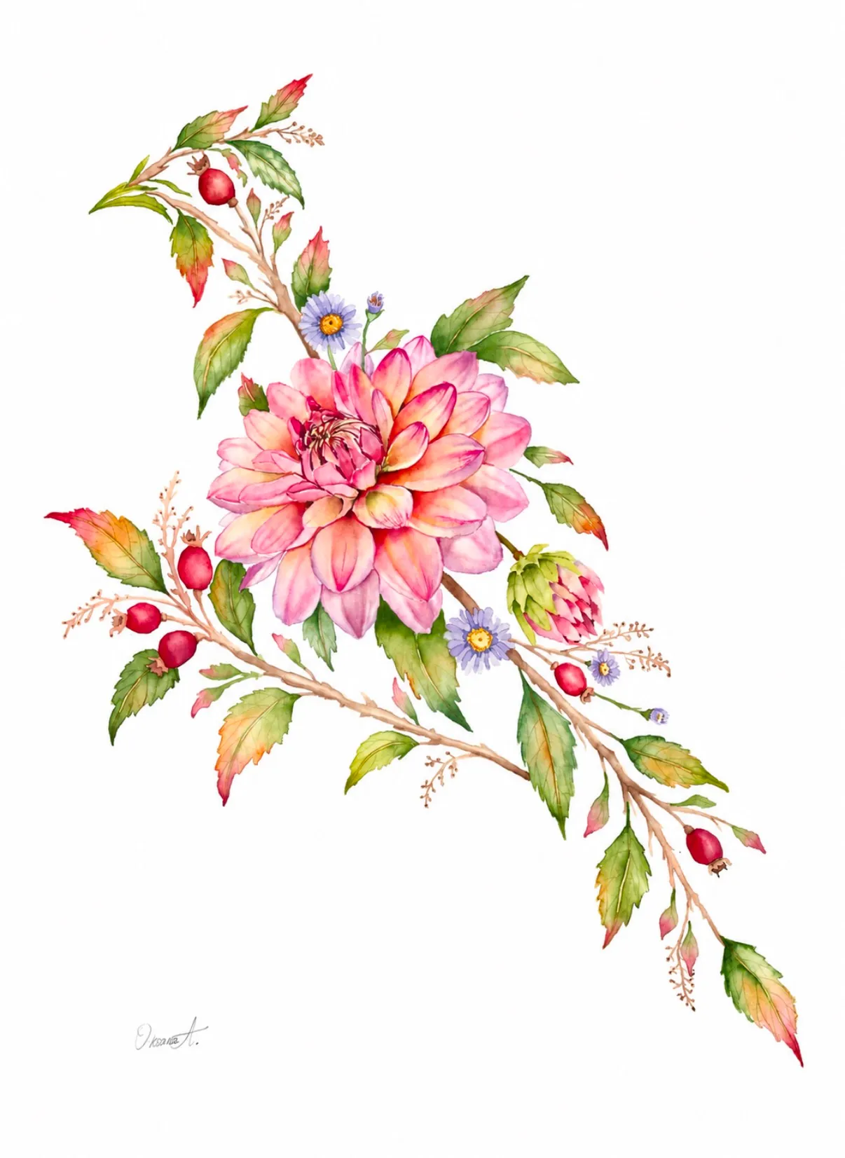 Botanical watercolour painting of a magnolia branch with large pink and white flowers, opening buds and textured brown stems on a white background.