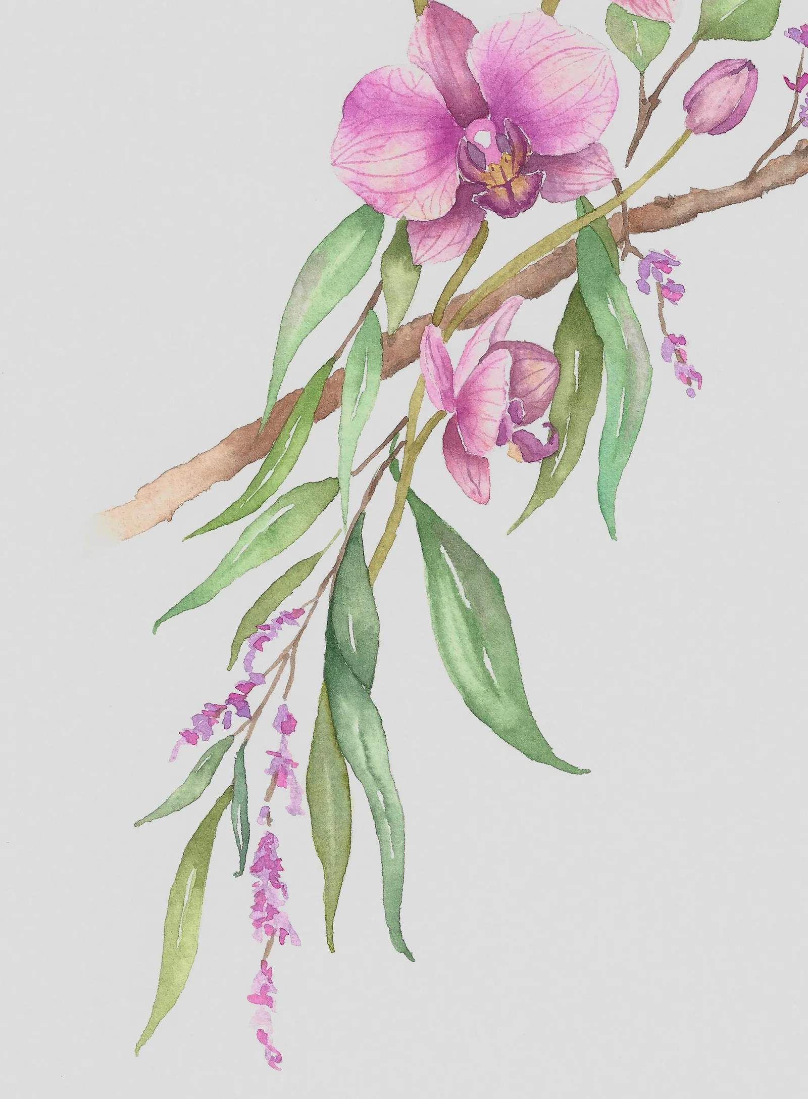 Orchid Plumage, view 3