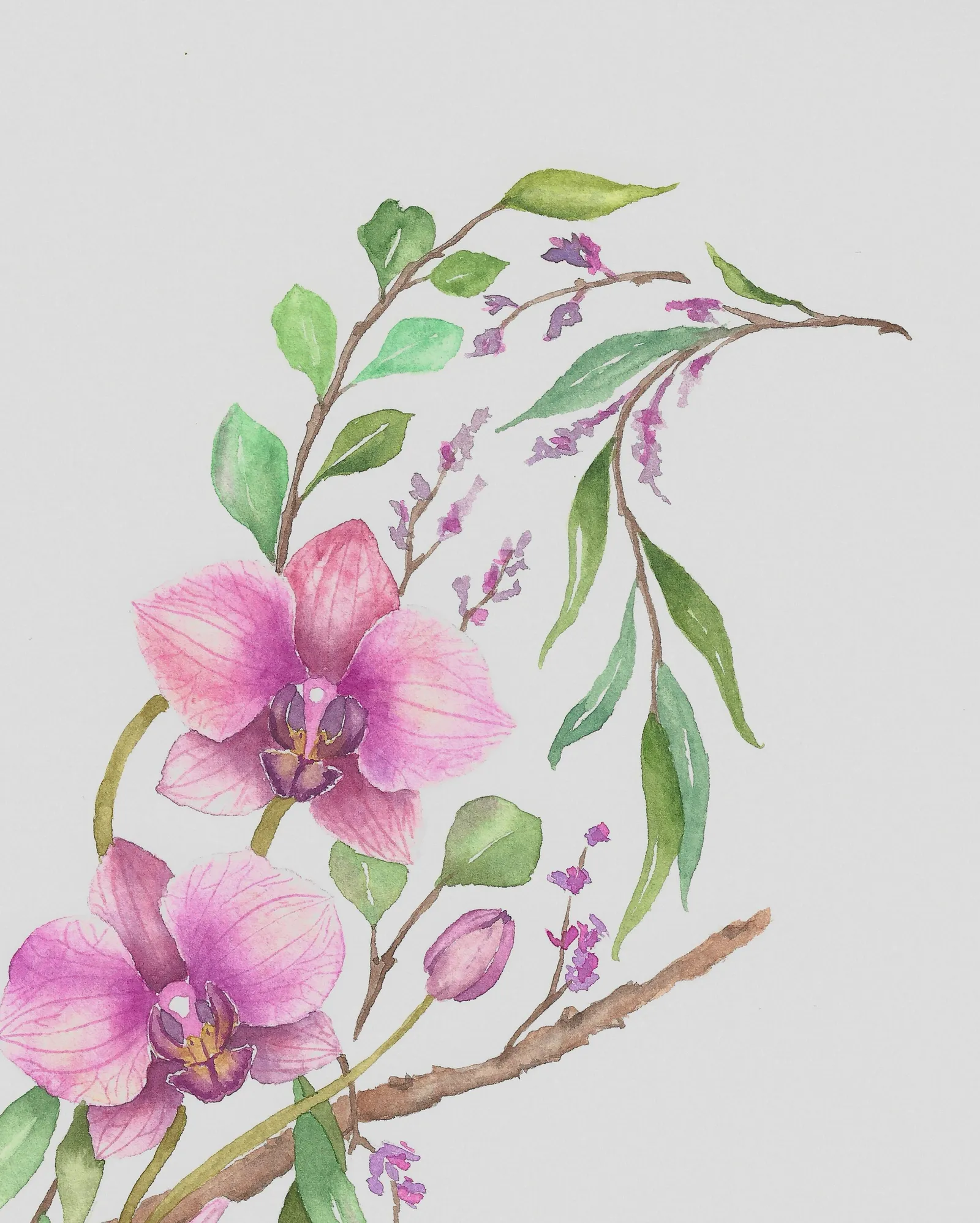 Orchid Plumage, view 2