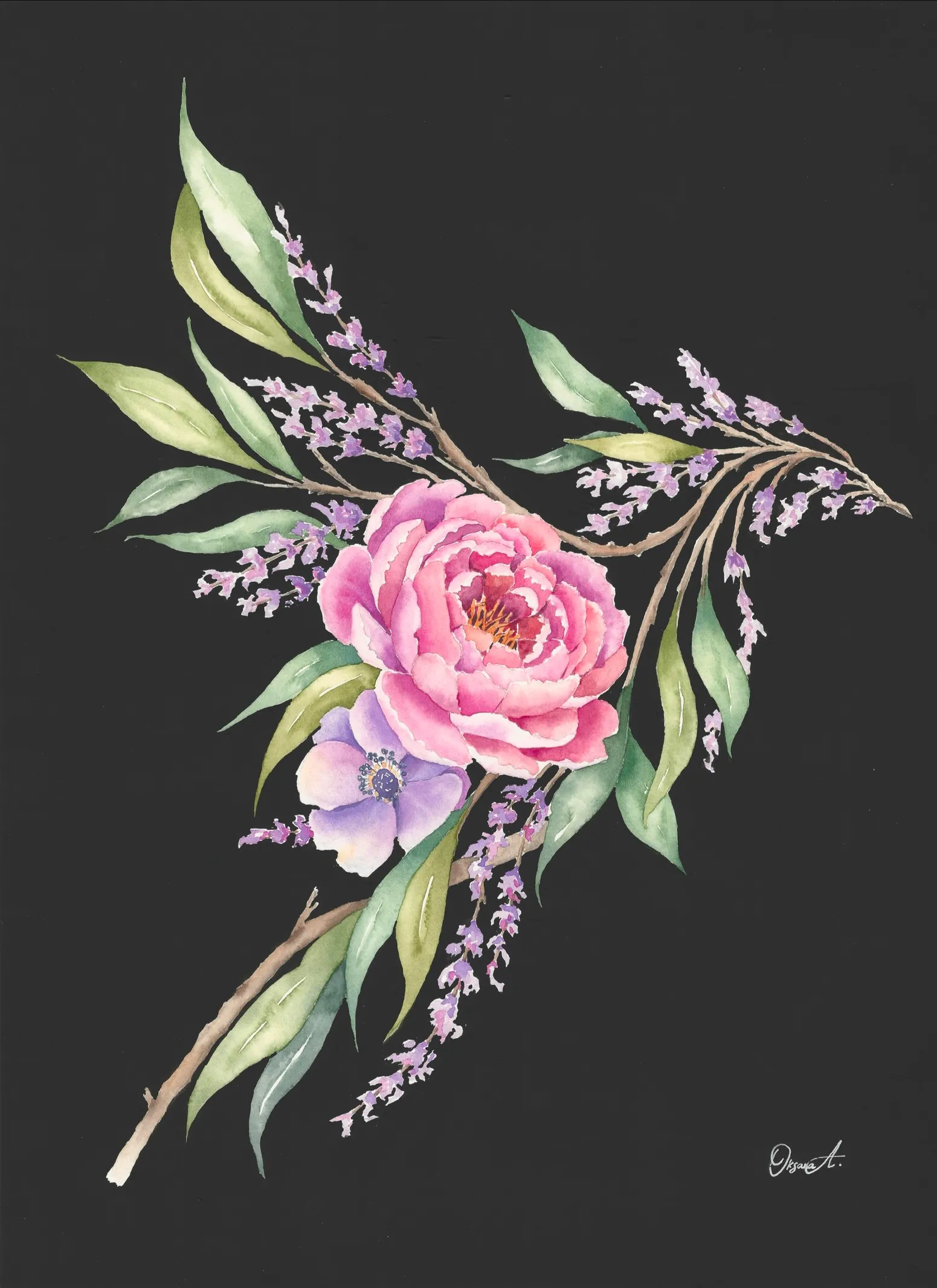Botanical watercolour painting of a bird silhouette formed from a pink peony, purple anemone, eucalyptus leaves and lavender on a black gouache background.