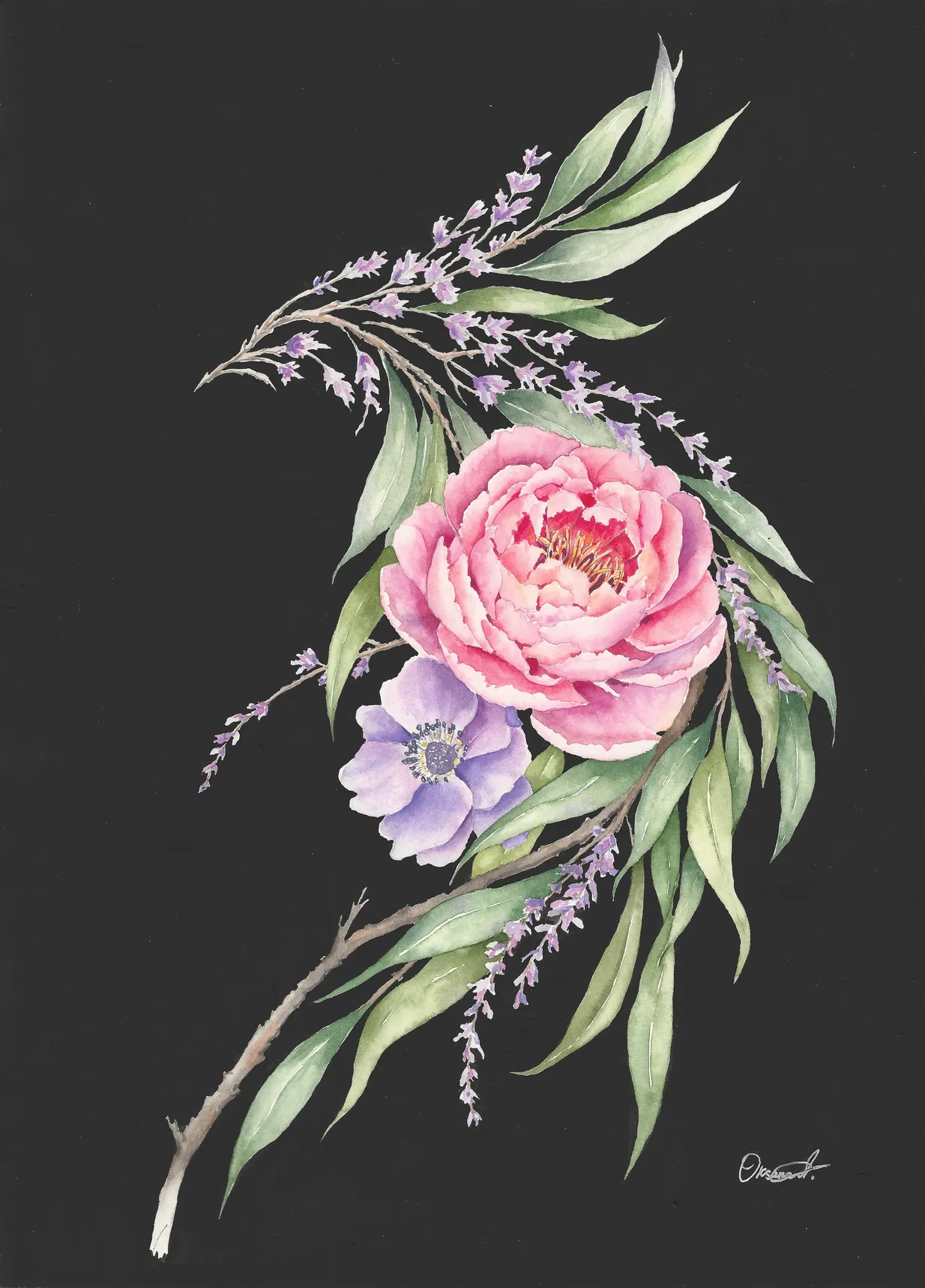 Botanical watercolour painting of a bird silhouette formed from a pink peony, purple anemone, eucalyptus leaves and lavender on a black gouache background.