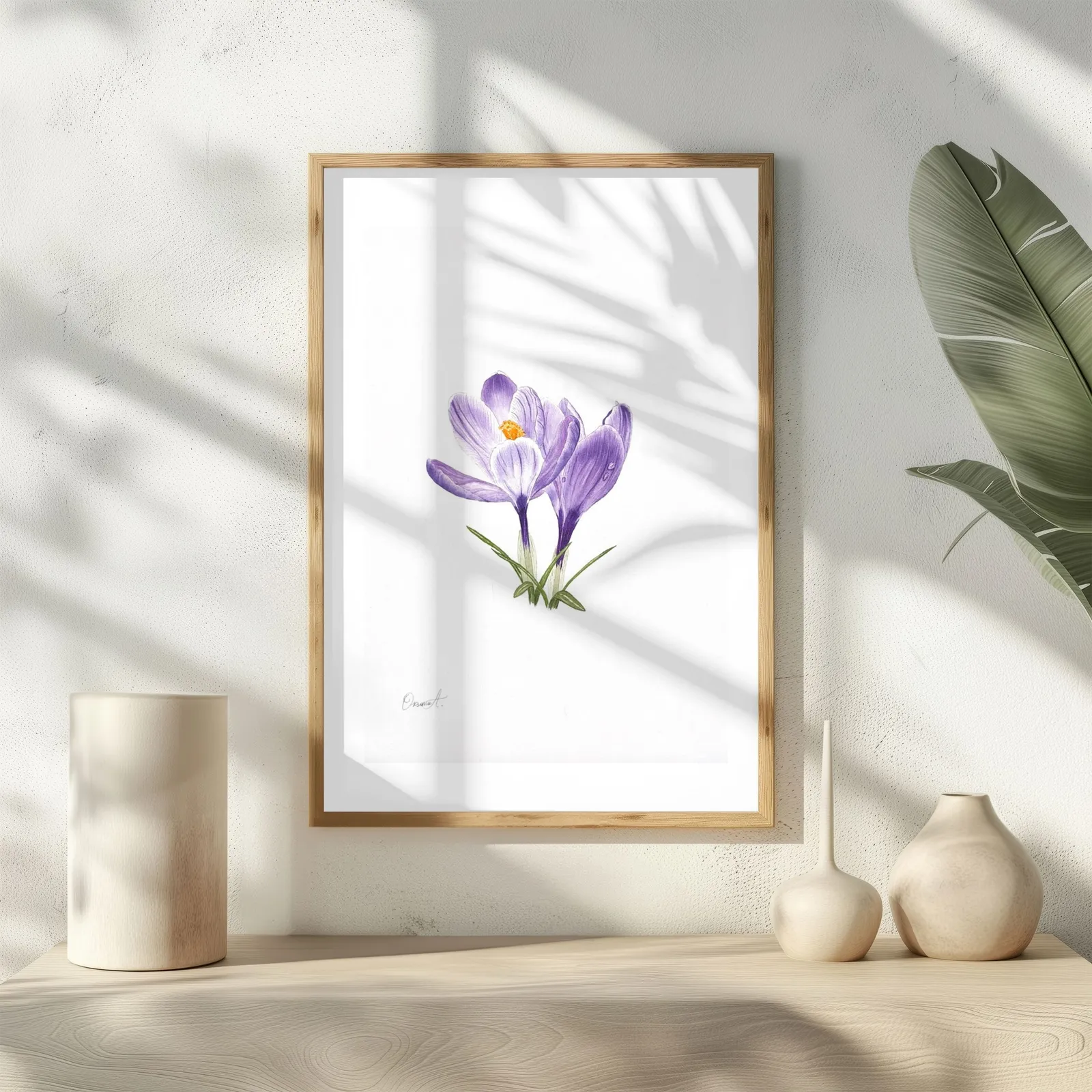 Spring Crocuses, view 3